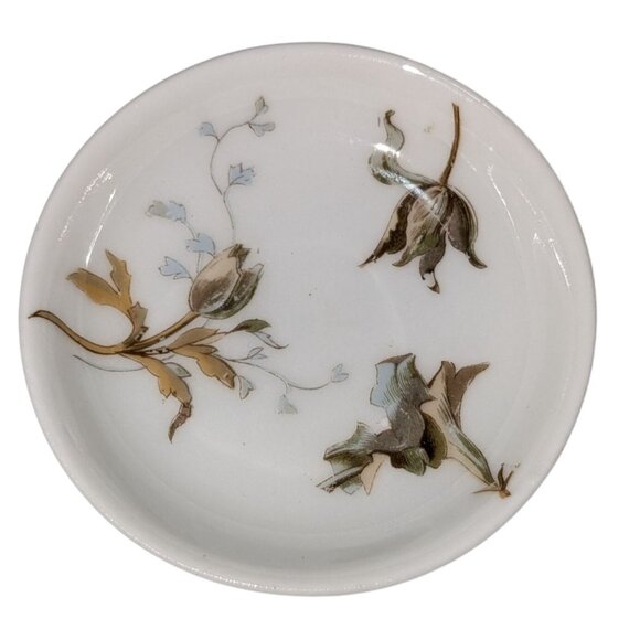 Haviland & Co Limoges Butter Pat Plates Floral Design Porcelain Antique 1879 - Picture 1 of 7